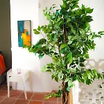 Casa Alma Lusa - Center - 2 Bedrooms Olhão