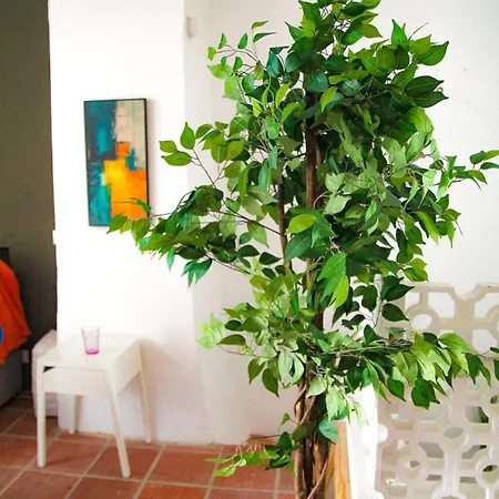 Casa Alma Lusa - Center - 2 Bedrooms Olhão